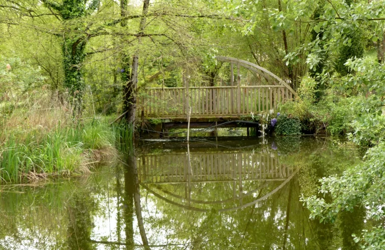 Adhérer à l'association Jardiner ses possibles - Un pont solide en bois passant au-dessus d'un étang quelque part au beau milieu du domaine Entre mer et forêt.
