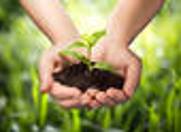 1908320_867008786649872_3276539969652151431_n